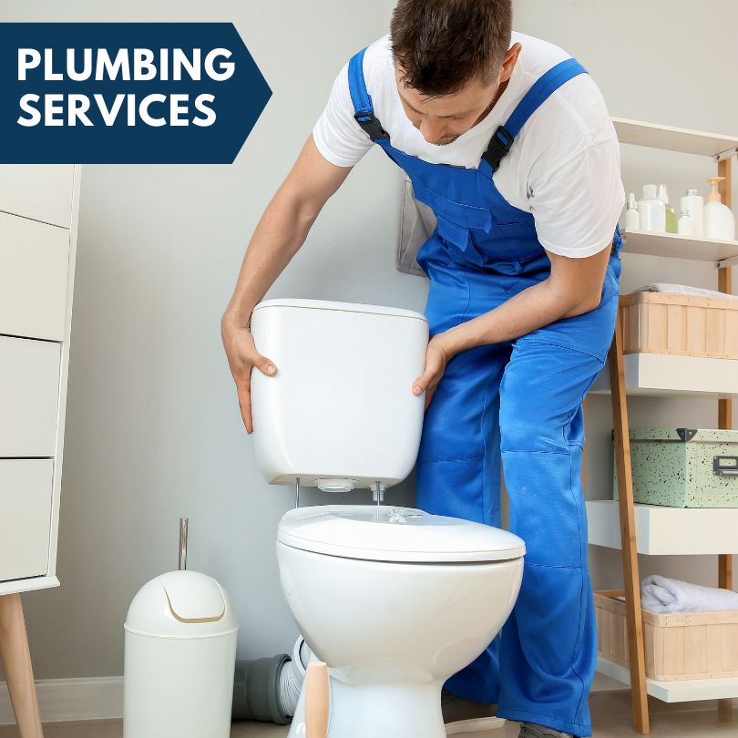 Plumbing Company in Lakeville, NY